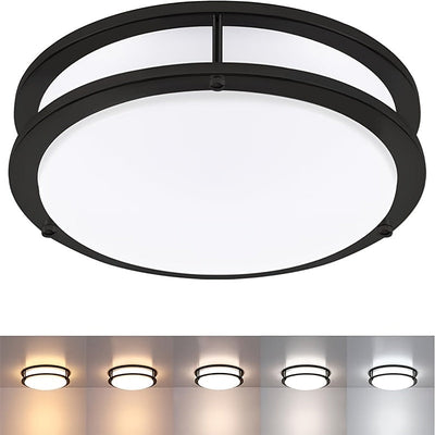 Ceiling Light